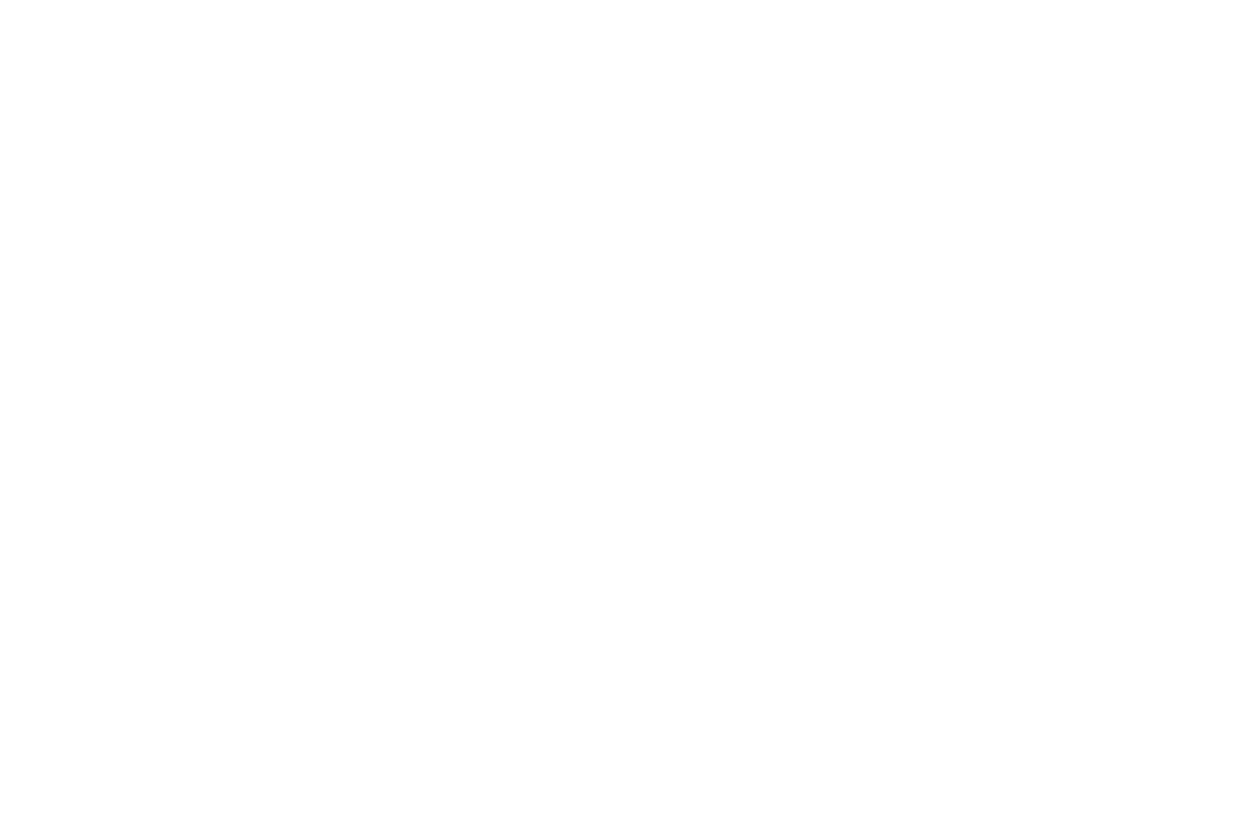 primary brand logo lenghy